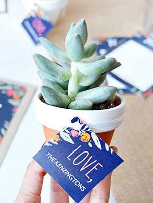 cadeaux invites plantes artificielle dans petit pot en verre